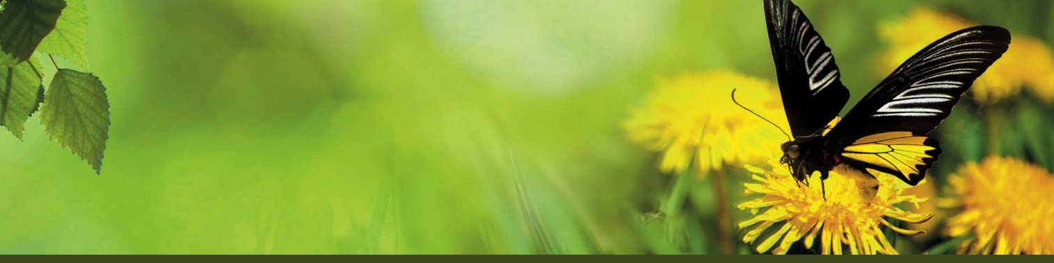 Image accueil 1 MAISON DE SOINS PALLIATIFS Francine Cuillerier Leclaire