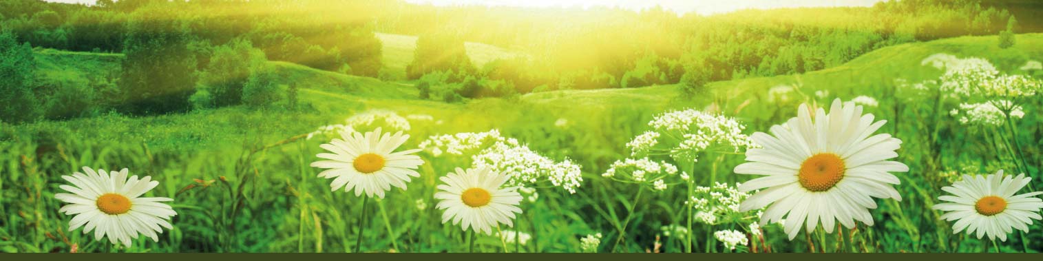 Image accueil 2 MAISON DE SOINS PALLIATIFS Francine Cuillerier Leclaire