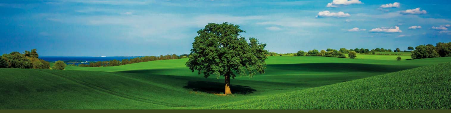 Image section don MAISON DE SOINS PALLIATIFS Francine Cuillerier Leclaire